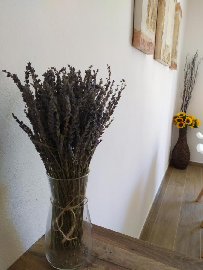 Apartamentos Xert Escapadas En Castellon Cerca De Morella Y Peniscola Chert Sant Mateu Extérieur photo